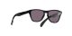 Oakley Frogskins Xxs OJ 9009 01