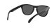 Oakley Frogskins OO 9013 C4