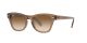 Ray-Ban RB 0707S 6640/51