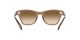 Ray-Ban RB 0707S 6640/51