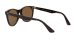 Ray-Ban Wayfarer Ii RB 2185 902/57