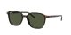 Ray-Ban Leonard RB 2193 902/31