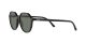 Ray-Ban Thalia RB 2195 901/58