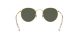 Ray-Ban Round Metal RB 3447 9196/31