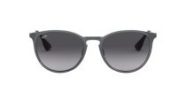 Ray-Ban Erika Metal RB 3539 192/8G