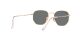 Ray-Ban Hexagonal RB 3548N 001/R5