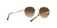 Ray-Ban RB 3681 001/13