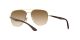 Ray-Ban RB 3683 001/51