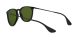 Ray-Ban Erika RB 4171 601/2P