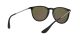 Ray-Ban Erika RB 4171 601/55