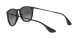 Ray-Ban Erika RB 4171 622/8G