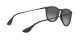 Ray-Ban Erika RB 4171 622/T3