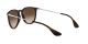 Ray-Ban Erika RB 4171 6315/13