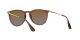 Ray-Ban Erika RB 4171 6593/T5