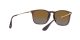 Ray-Ban Chris RB 4187 6593/T5