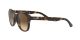 Ray-Ban RB 4203 710/13