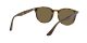 Ray-Ban RB 4259 710/73