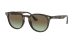 Ray-Ban RB 4259 731/E8