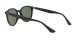 Ray-Ban RB 4305 601/71