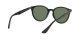 Ray-Ban RB 4305 601/71