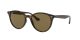 Ray-Ban RB 4305 710/73