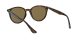 Ray-Ban RB 4305 710/73