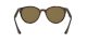 Ray-Ban RB 4305 710/73