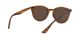 Ray-Ban RB 4305 820/73