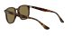 Ray-Ban RB 4306 710/73