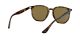 Ray-Ban RB 4306 710/73