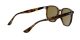 Ray-Ban RB 4306 710/73