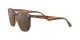 Ray-Ban RB 4306 820/73