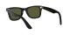 Ray-Ban Wayfarer RB 4340 601/58