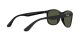 Ray-Ban RB 4374 601/31