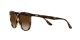 Ray-Ban RB 4378 710/13