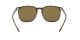 Ray-Ban RB 4387 710/73