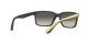 Ray-Ban RB 4393M F624/11