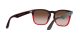 Ray-Ban Steve RB 4487 6631/13