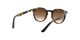 Ray-Ban RJ 9064S 152/13